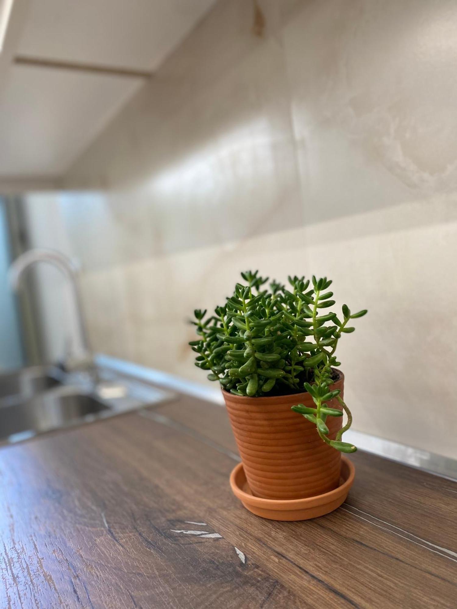 Flors Apartments Дуррес Екстер'єр фото